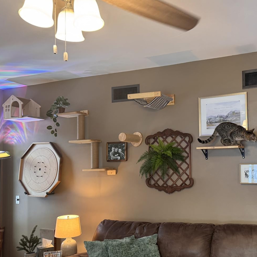 Furniture Paradise & Hardware Ghaziabad - 猫用家具 無垢材製吊り下げ式ブリッジ 壁掛け式サイザル麻製猫用クライミングラダー 木製エコフレンドリーな猫の楽園