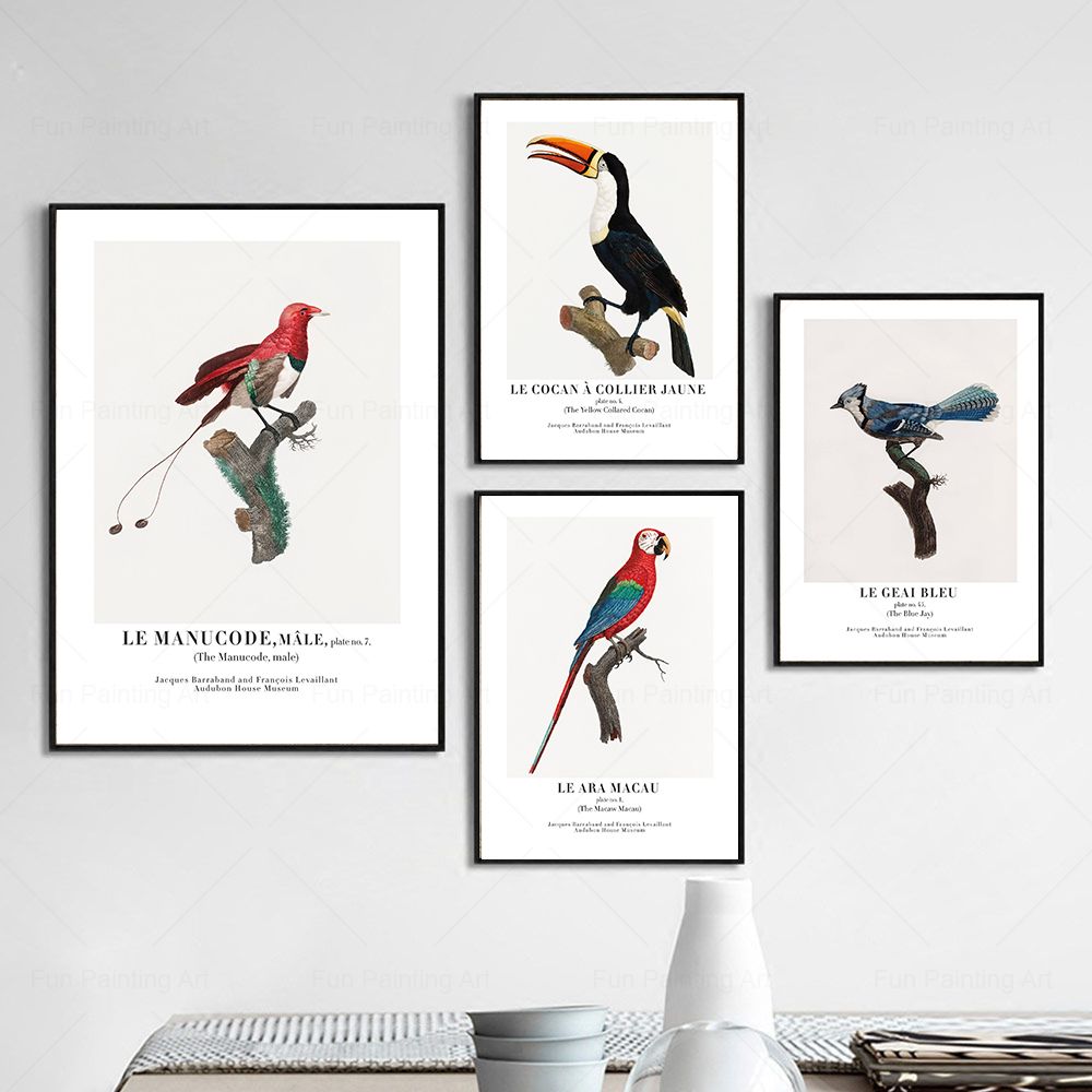 ヴィンテージパラダイス鳥壁アートキャンバス絵画博物館北欧ポス - Furniture Paradise & Hardware Ghaziabad のレビューと価格