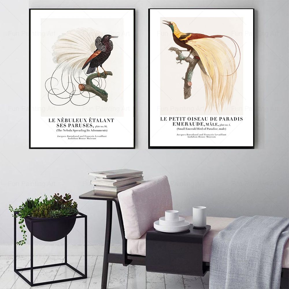 ヴィンテージパラダイス鳥壁アートキャンバス絵画博物館北欧ポス - Furniture Paradise & Hardware Ghaziabad のレビューと価格