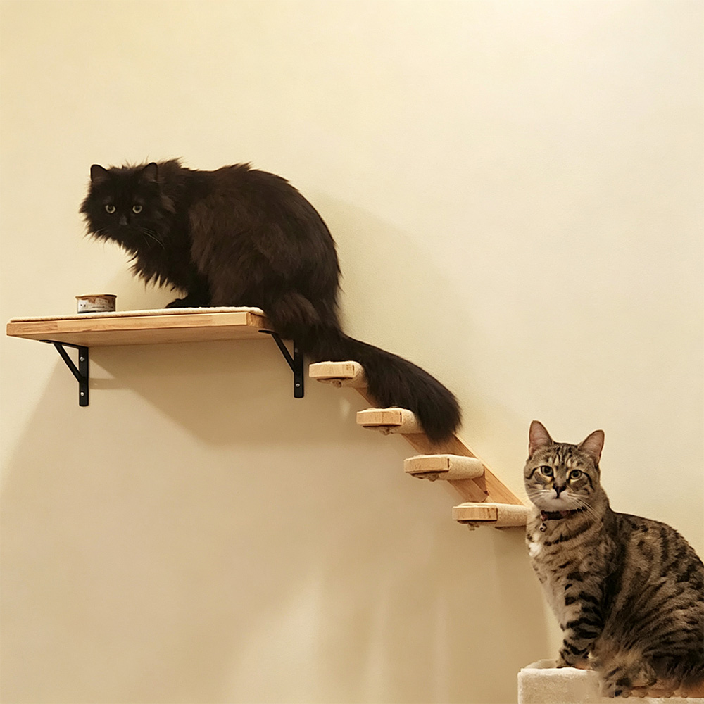 猫用家具 無垢材製吊り下げ式ブリッジ 壁掛け式サイザル麻製猫 - Furniture Paradise & Hardware Ghaziabad のレビューと価格