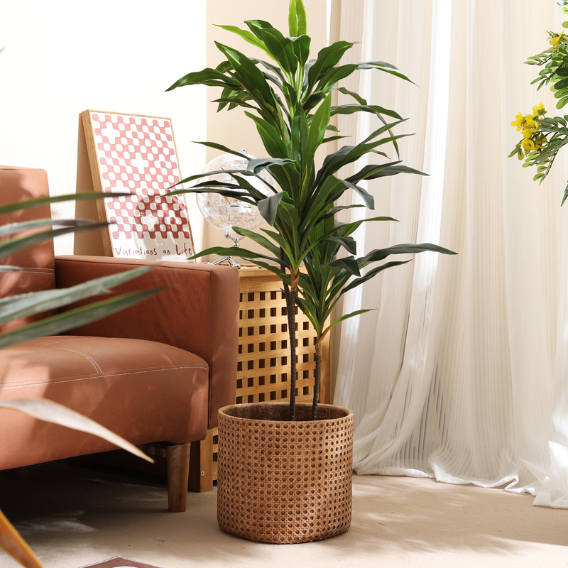 小型アパート用家具 床から天井までの植木鉢 ホームホール ガ - Furniture Paradise & Hardware Ghaziabad のレビューと価格